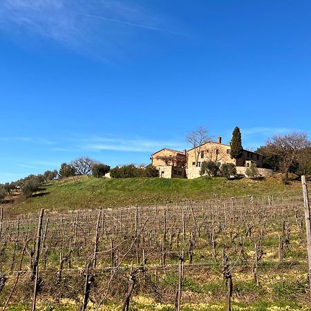 Podere Sole Trequanda Exterior photo