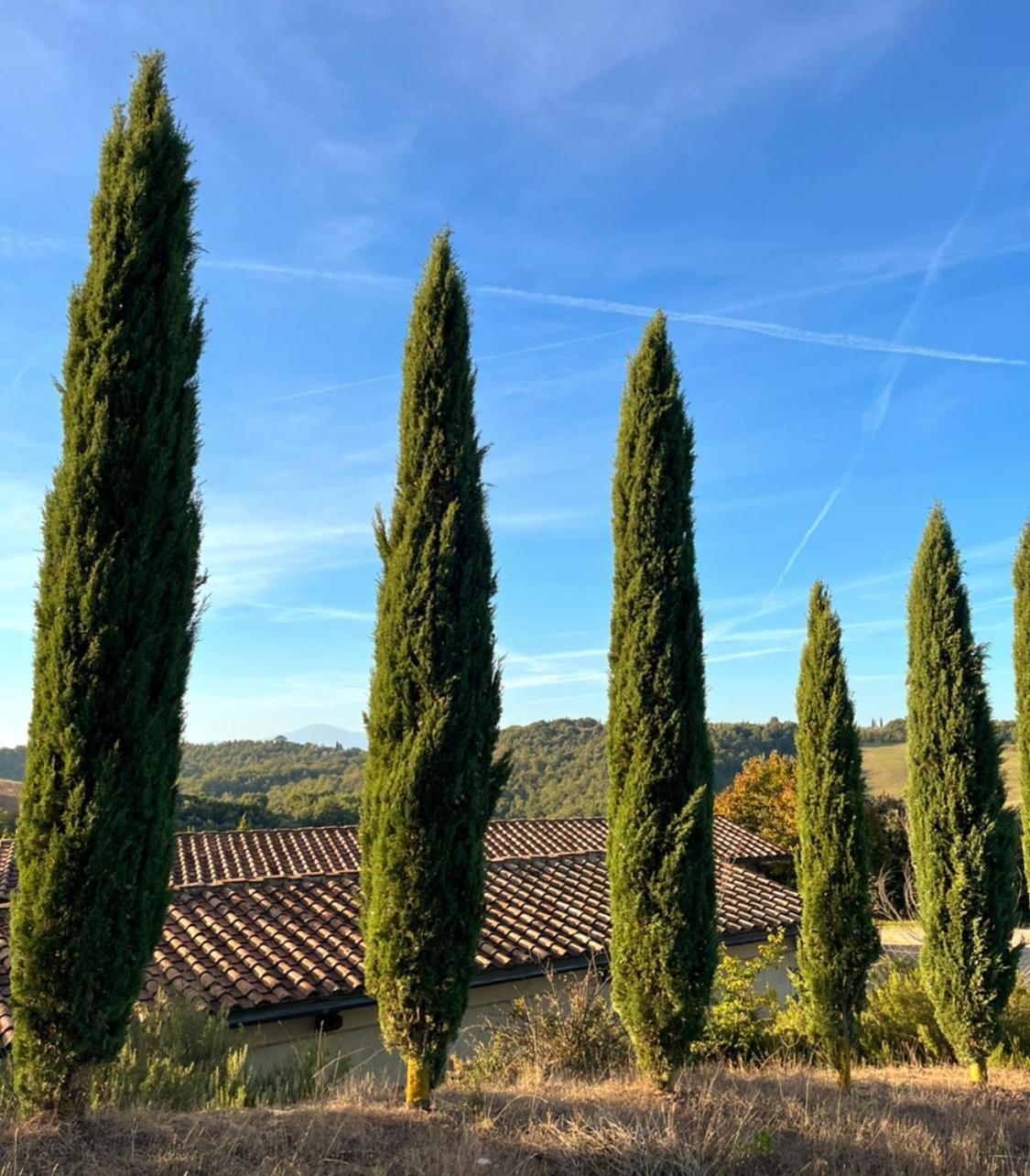 Podere Sole Trequanda Exterior photo