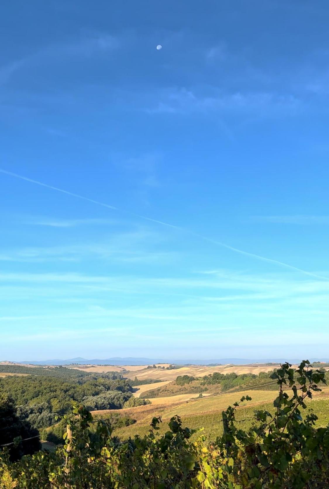 Podere Sole Trequanda Exterior photo