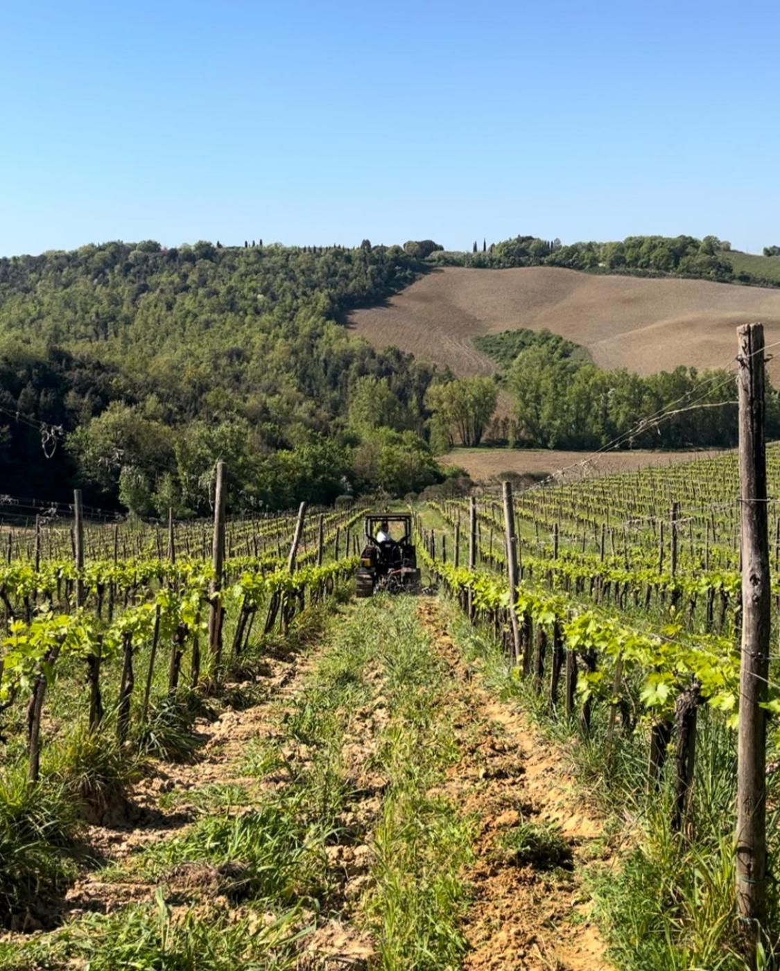 Podere Sole Trequanda Exterior photo