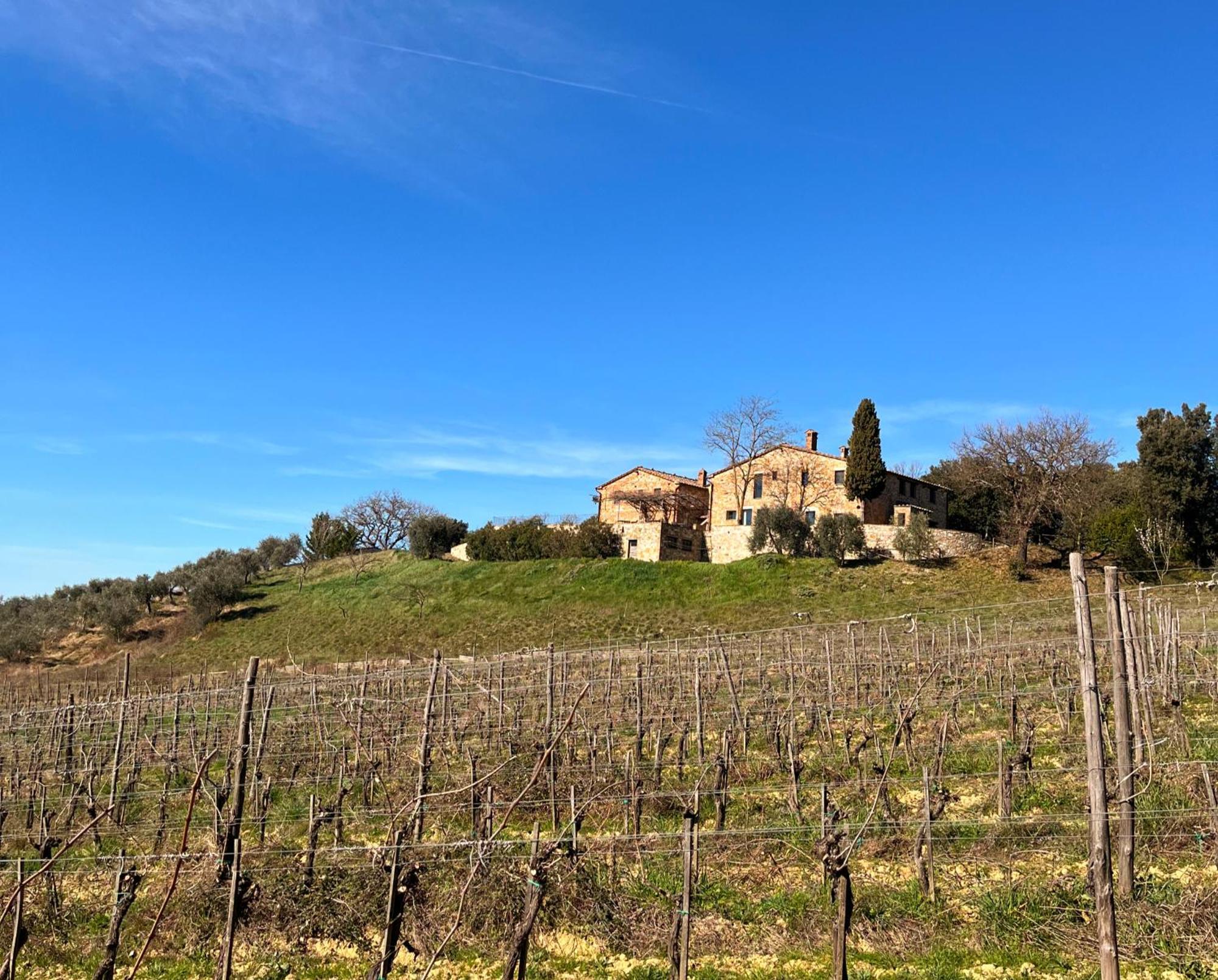 Podere Sole Trequanda Exterior photo